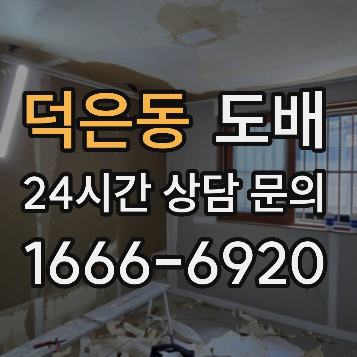 덕은동 도배