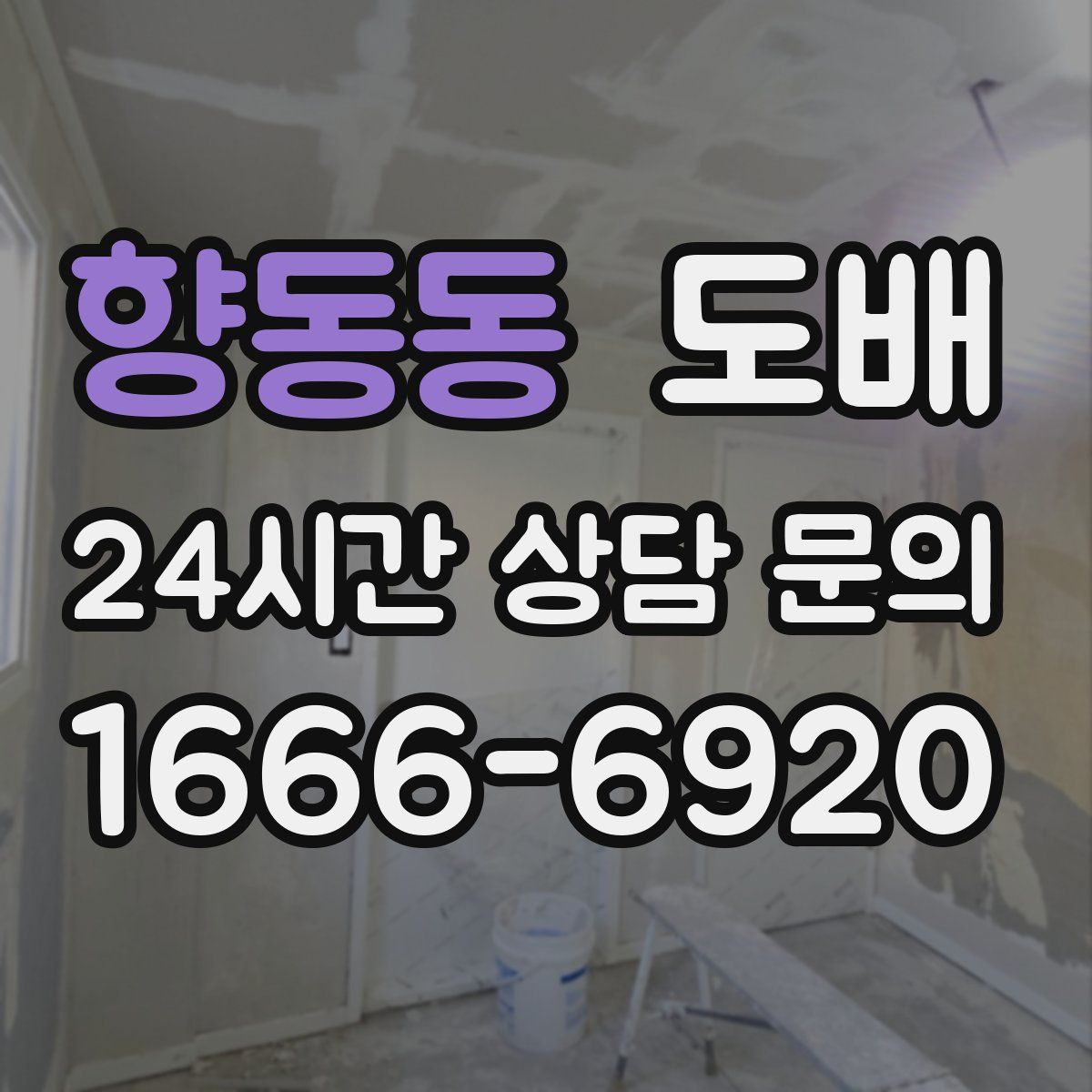 향동동 도배