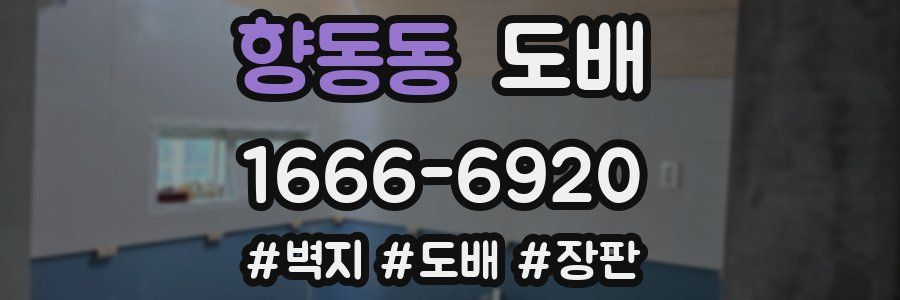 향동동 도배