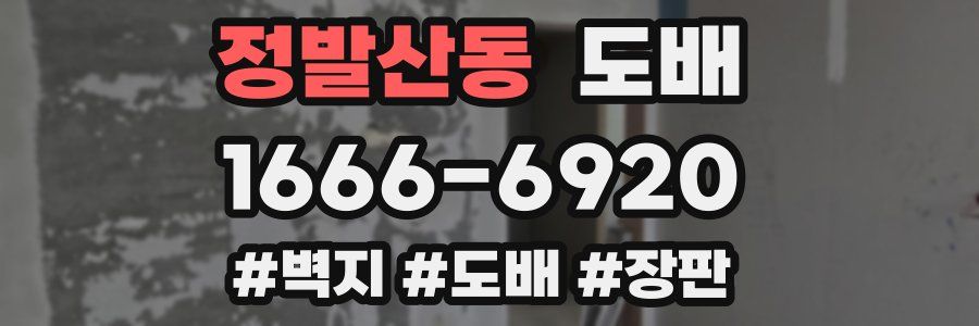 정발산동 도배