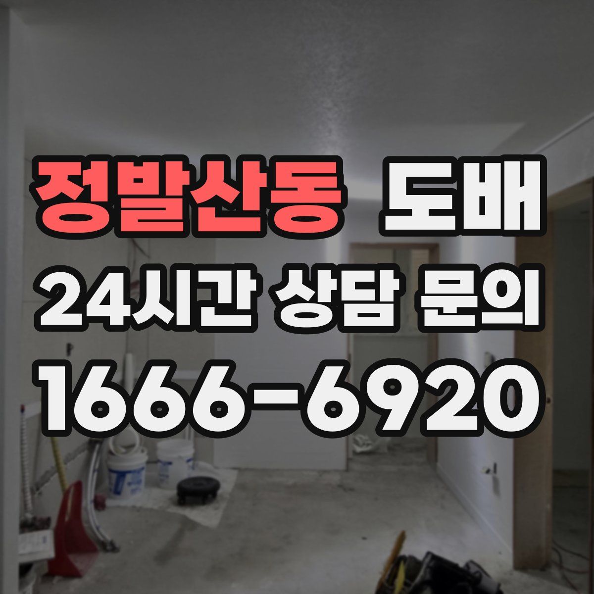 정발산동 도배