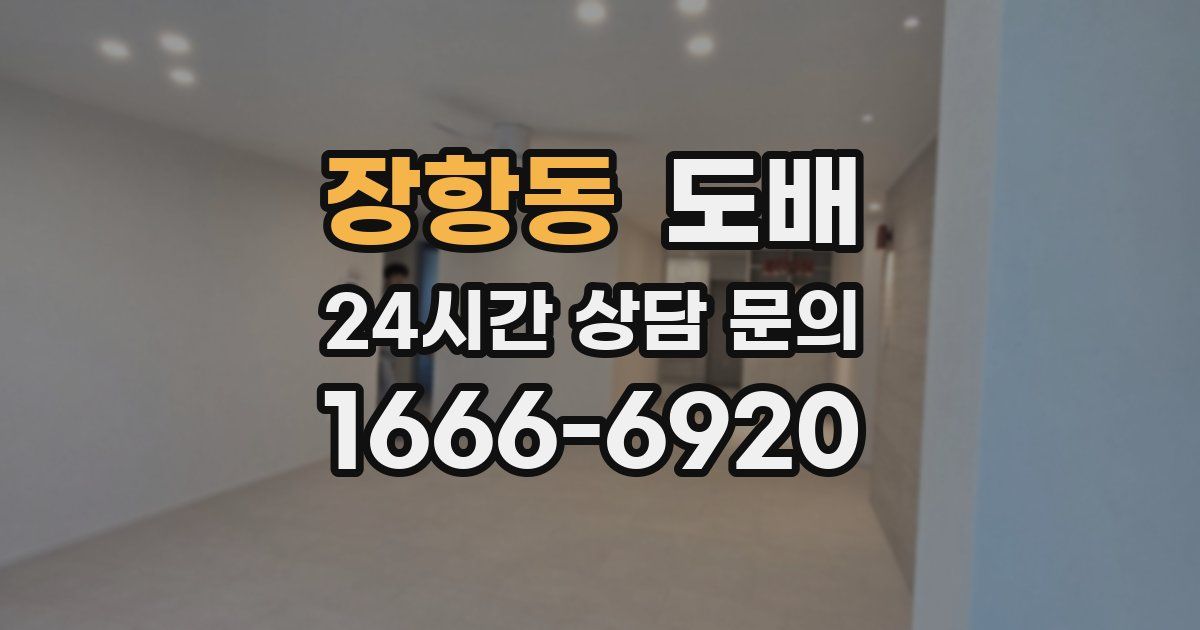 장항동 도배