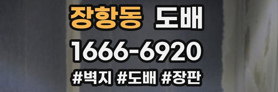 장항동 도배