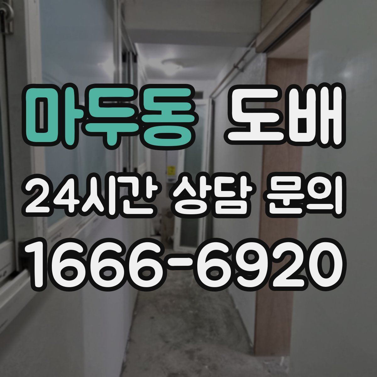 마두동 도배