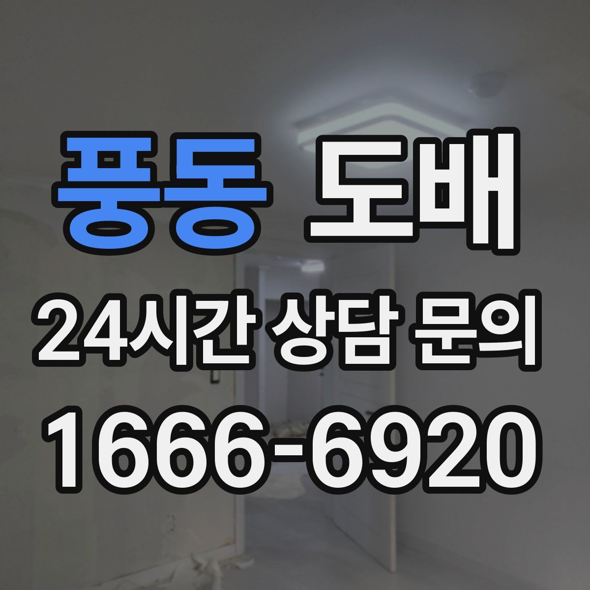 풍동 도배