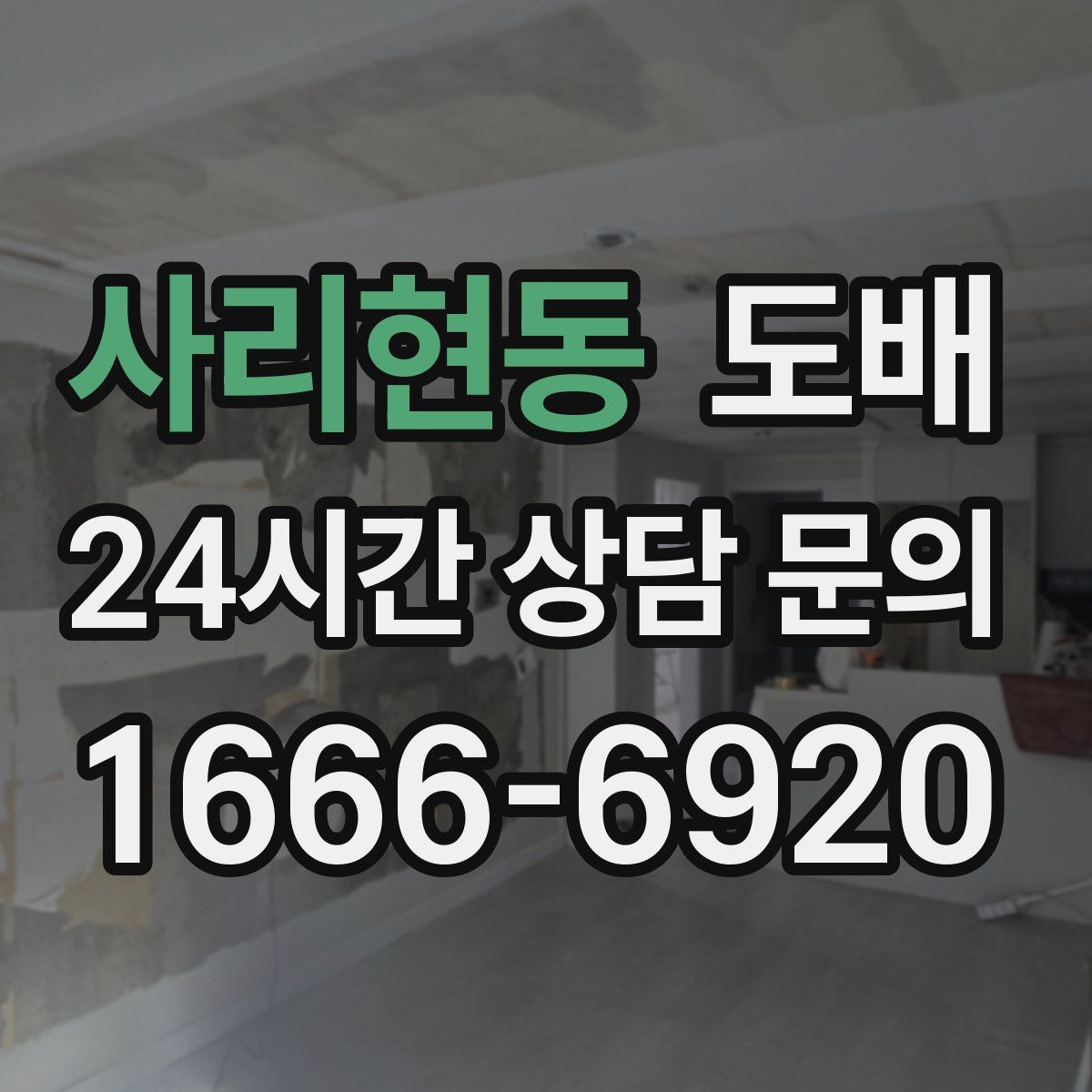사리현동 도배