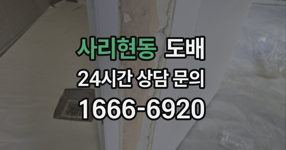 사리현동 도배