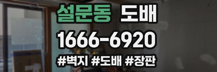 설문동 도배