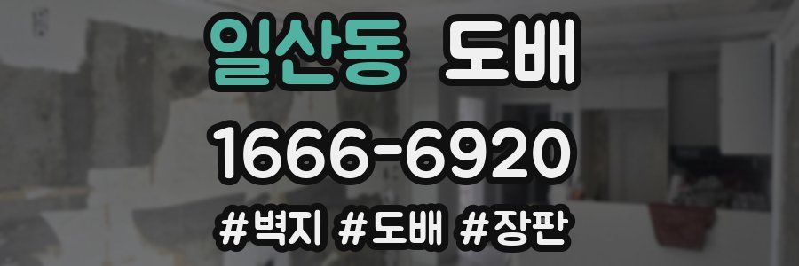 일산동 도배