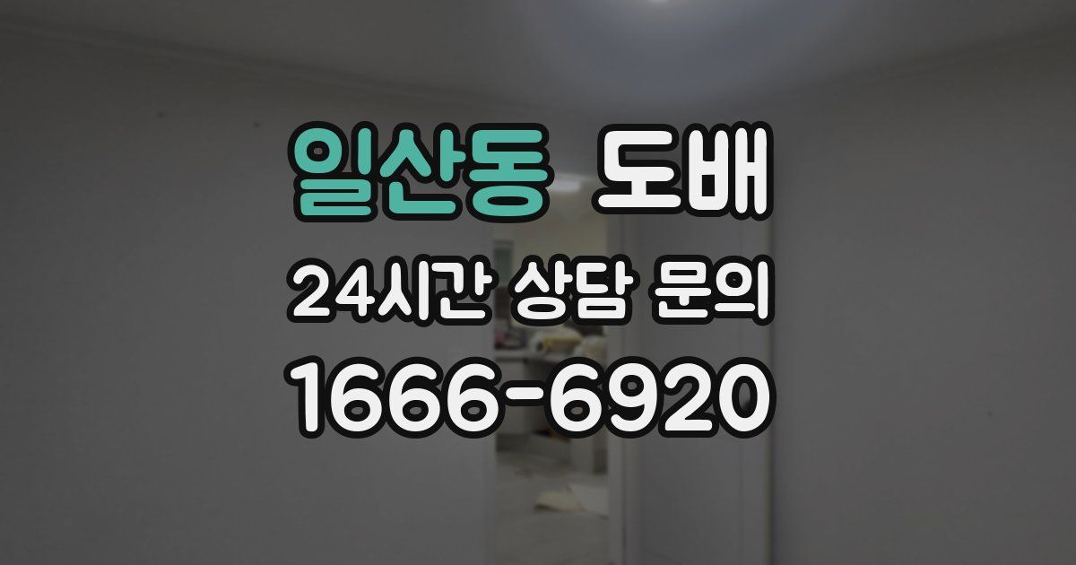일산동 도배
