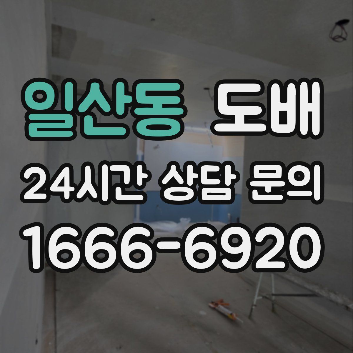 일산동 도배
