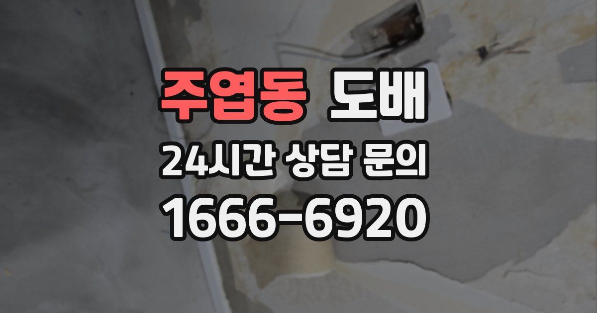 주엽동 도배