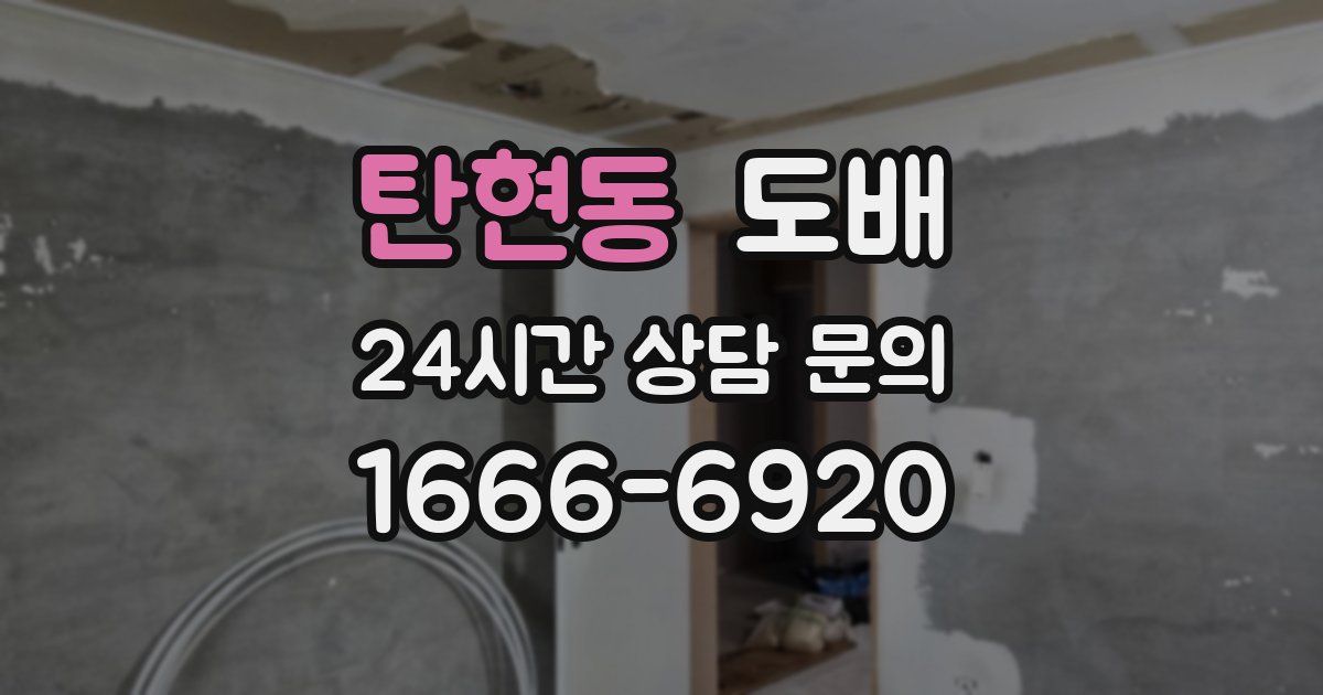 탄현동 도배