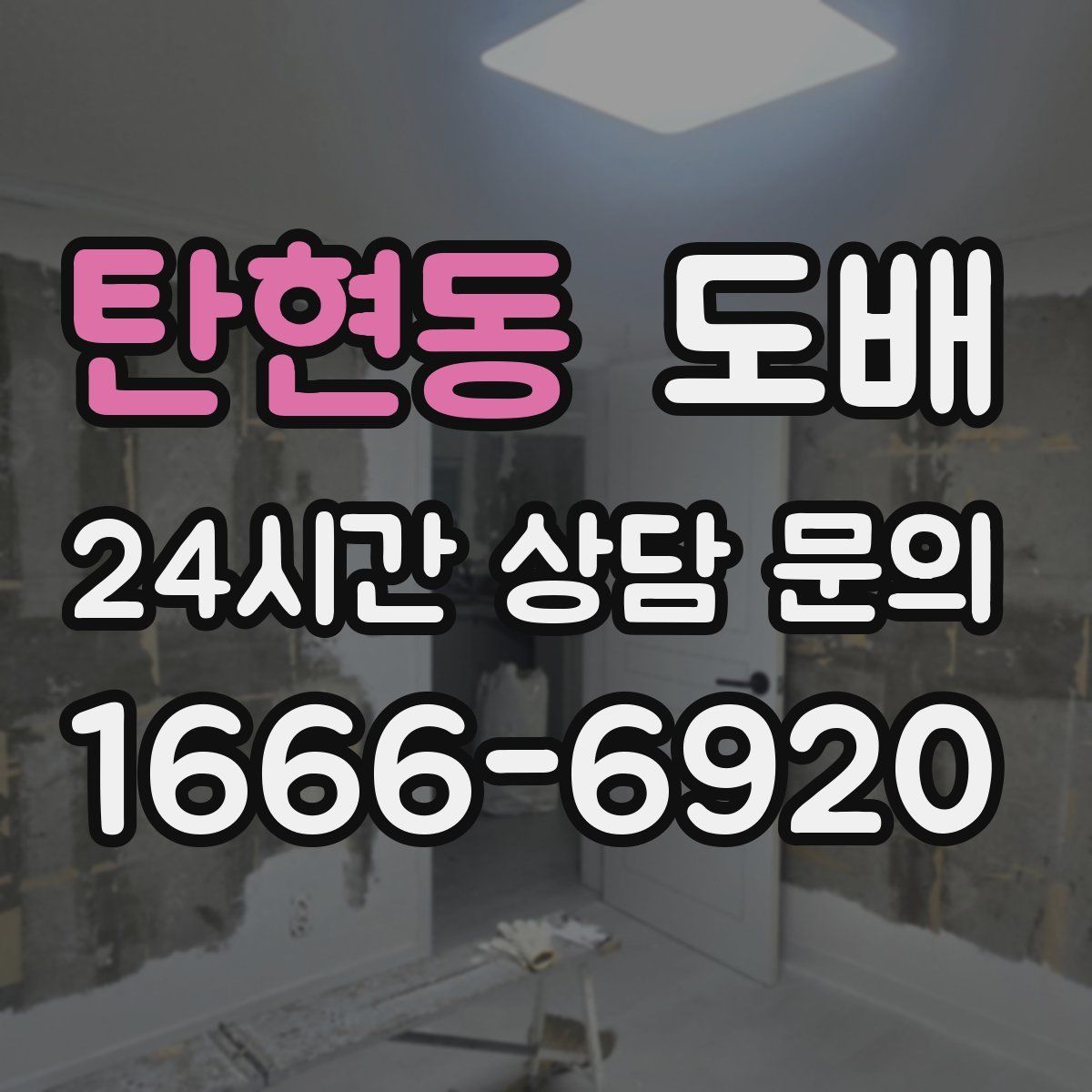 탄현동 도배
