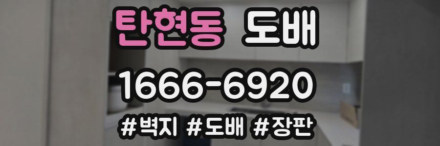 탄현동 도배