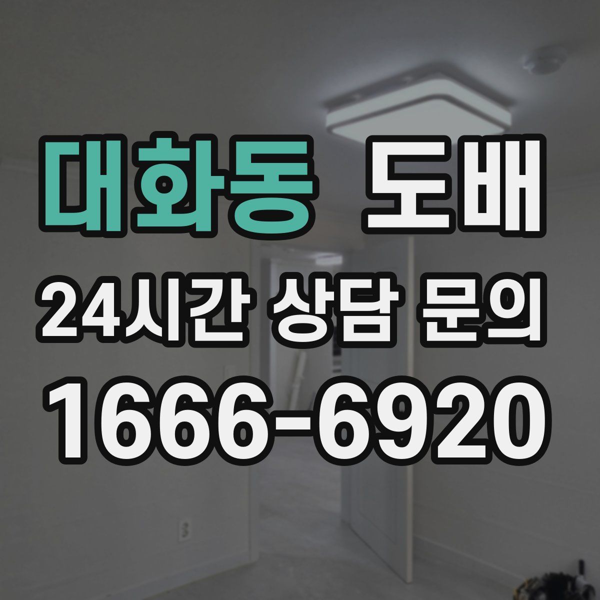 대화동 도배