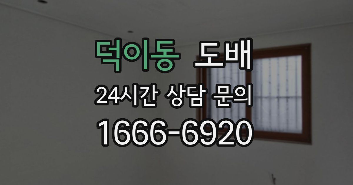덕이동 도배