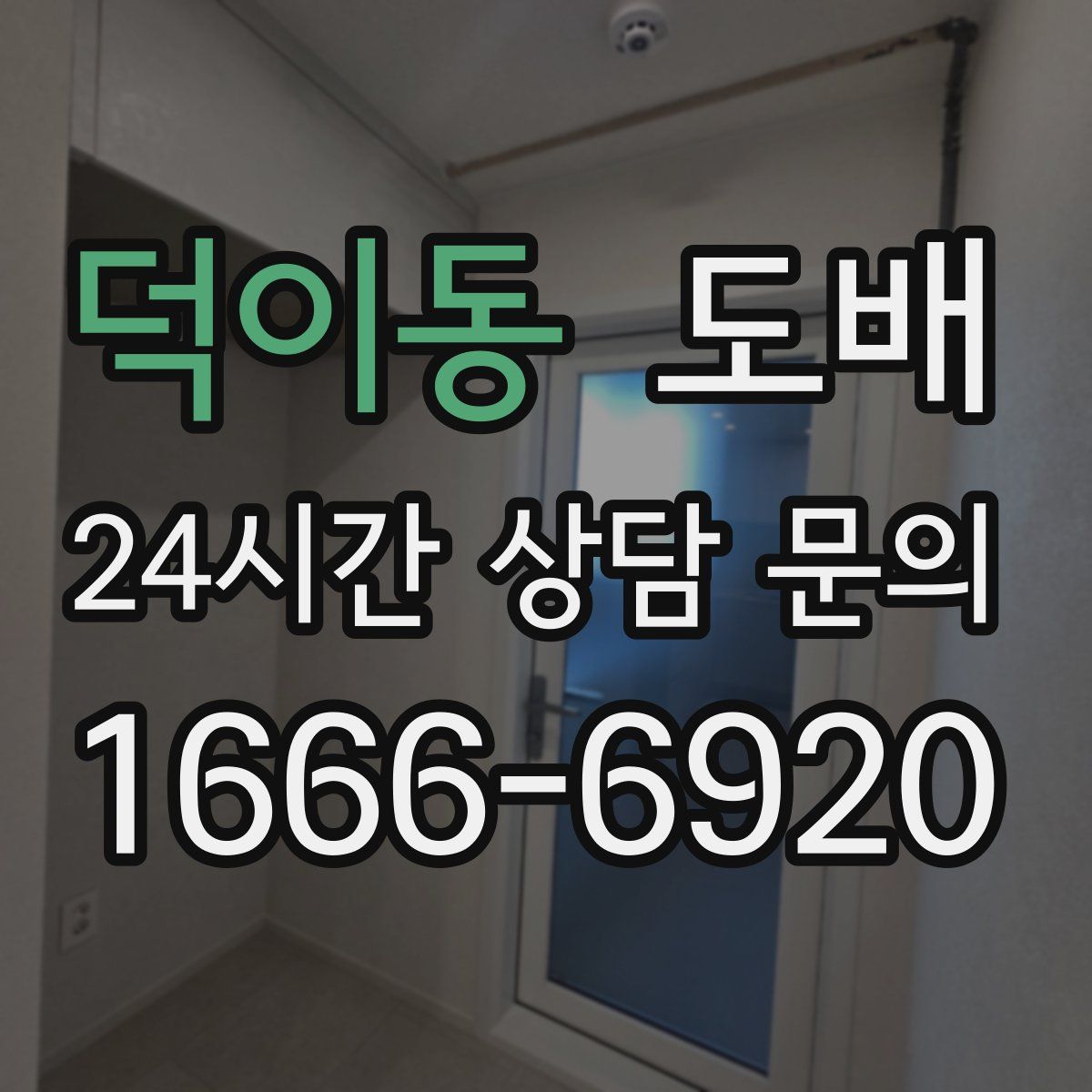 덕이동 도배