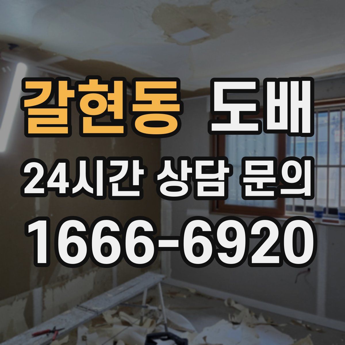 갈현동 도배