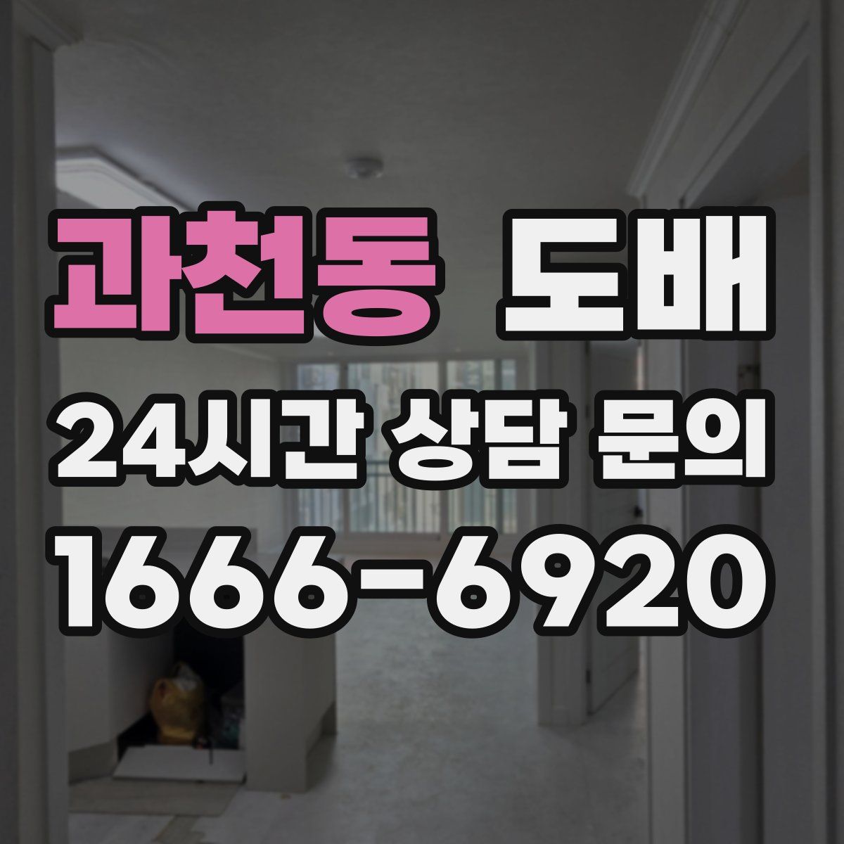 과천동 도배