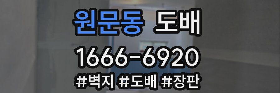 원문동 도배