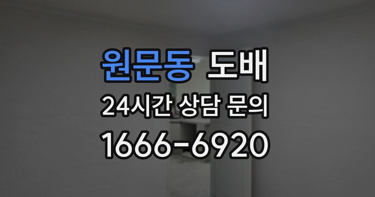 원문동 도배