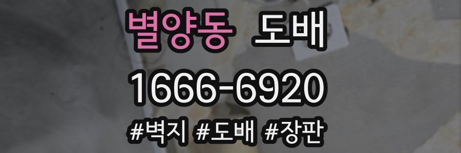 별양동 도배