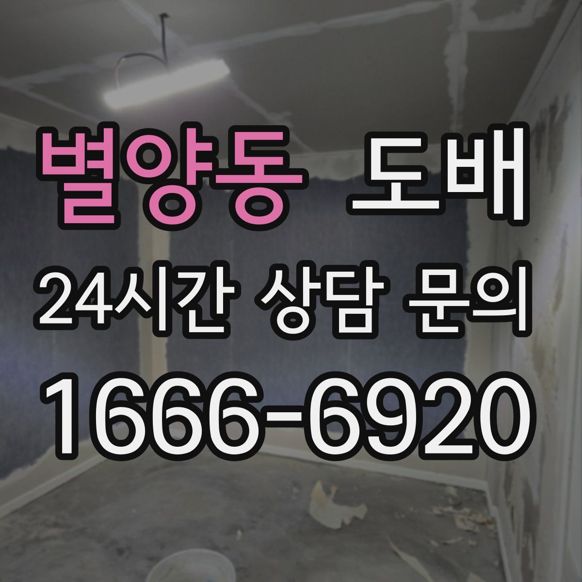 별양동 도배