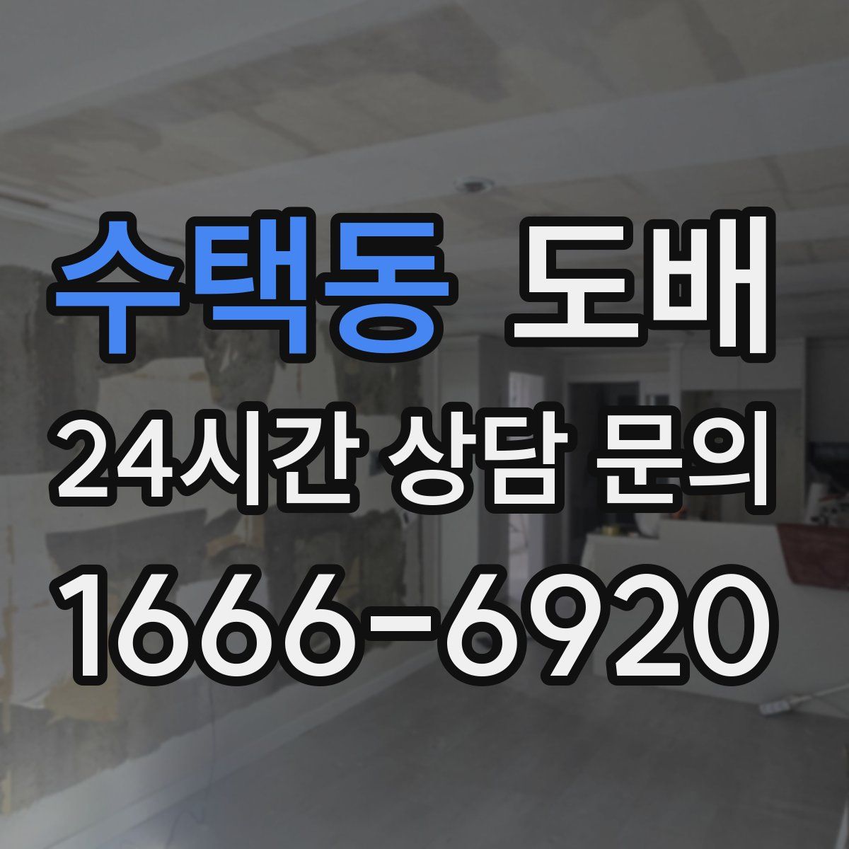 수택동 도배