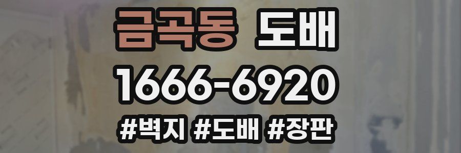 금곡동 도배