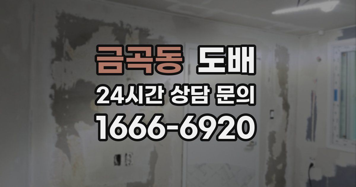 금곡동 도배