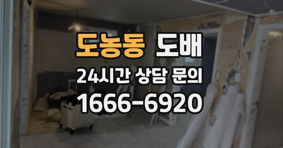 도농동 도배