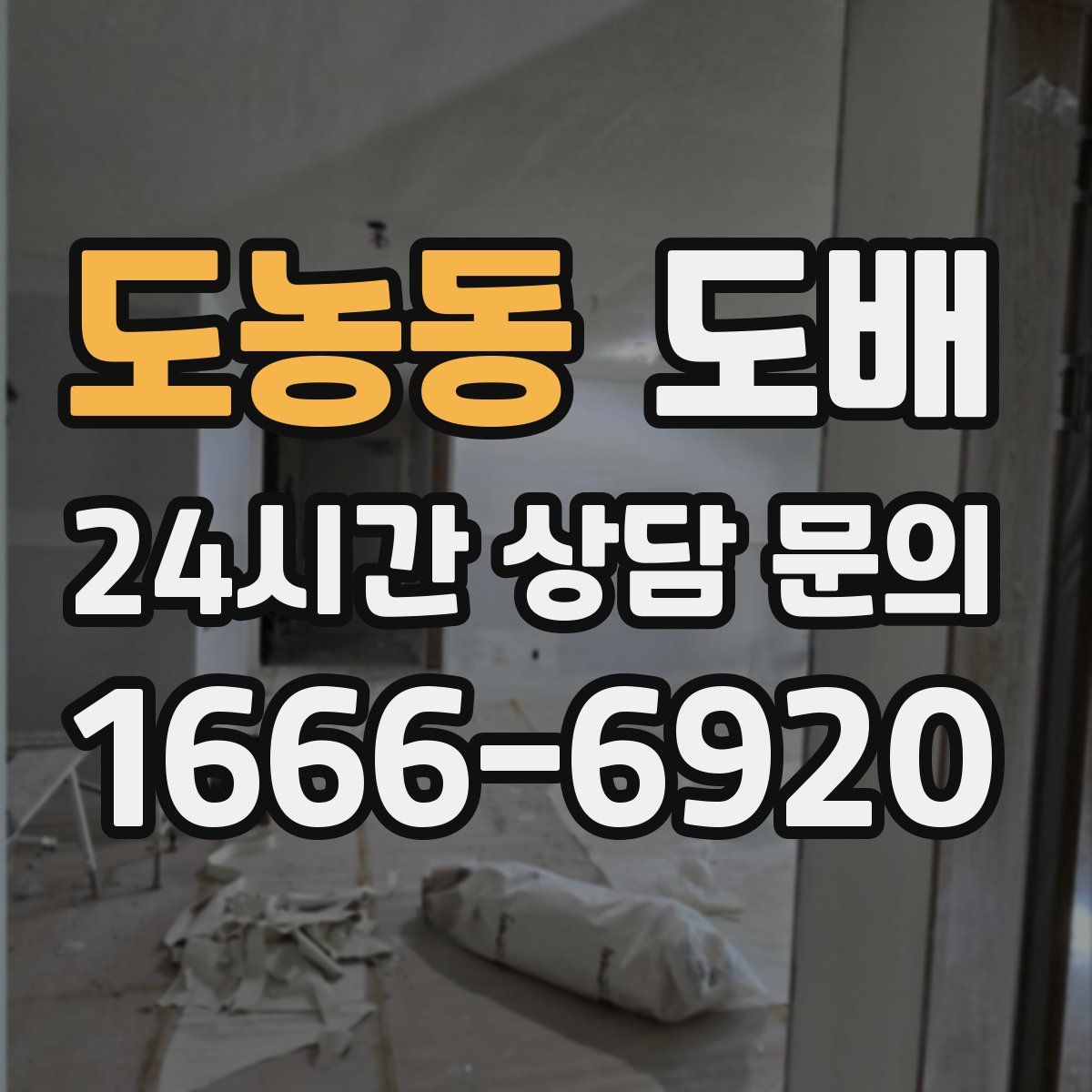 도농동 도배