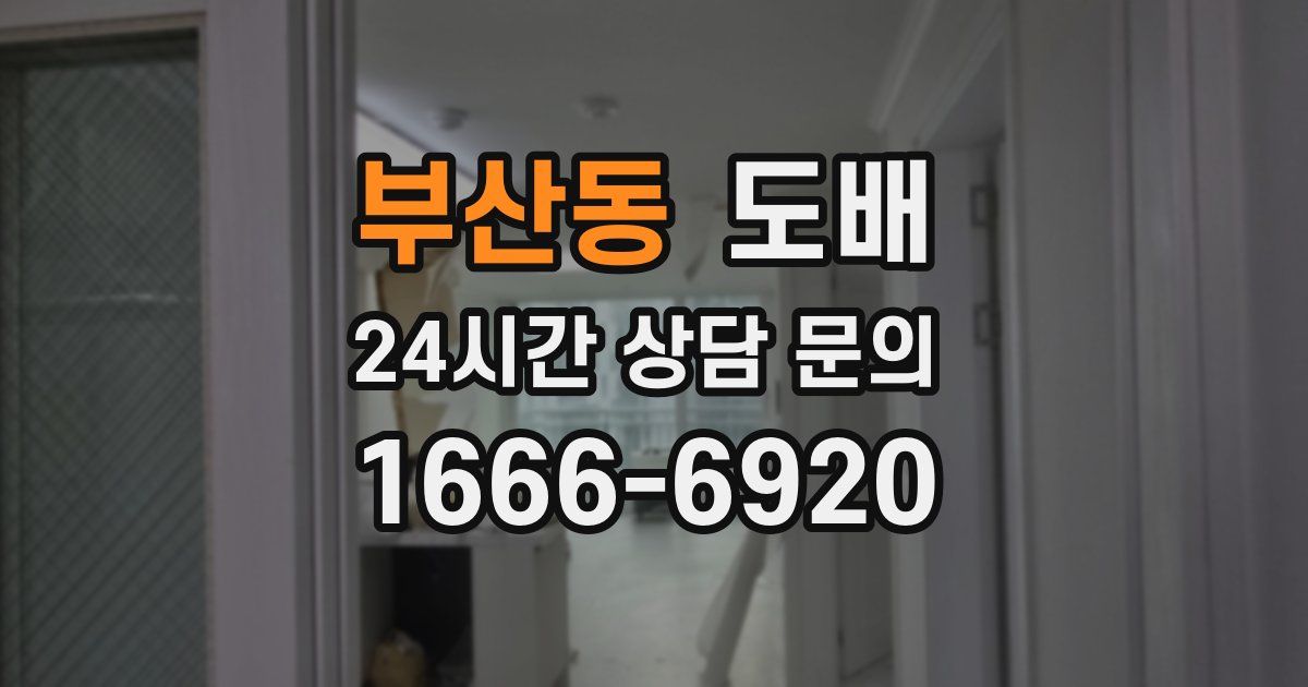 부산동 도배