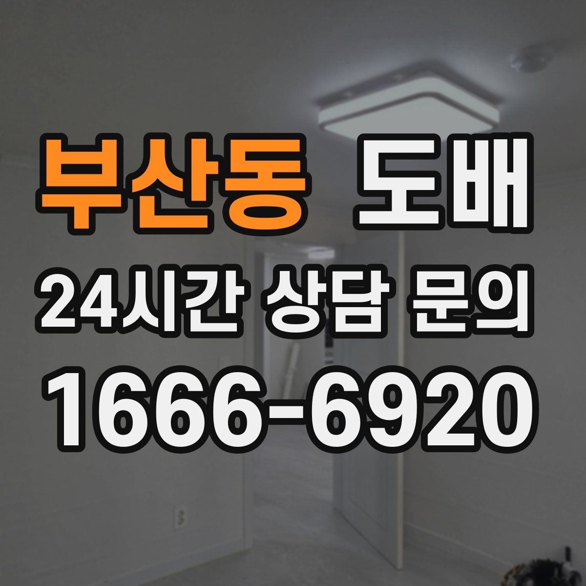 부산동 도배