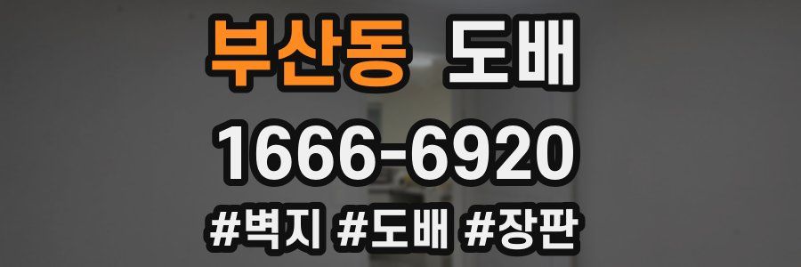 부산동 도배