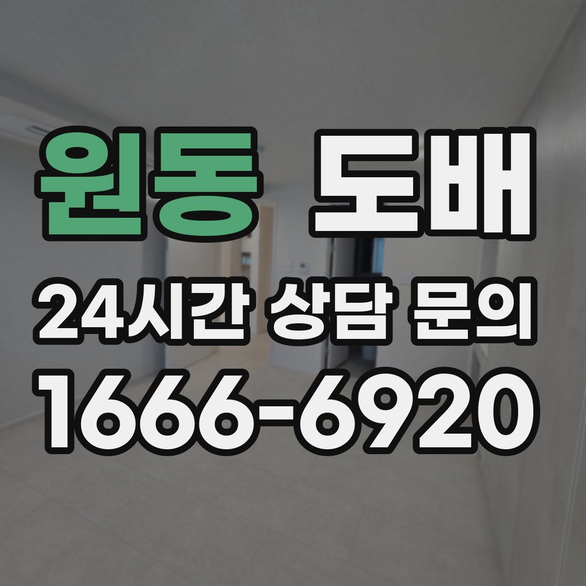원동 도배