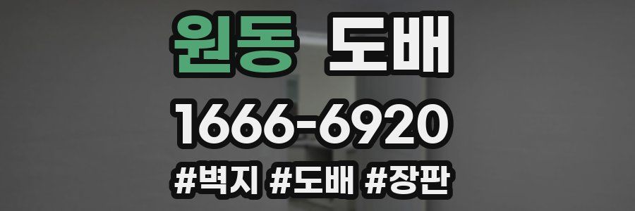 원동 도배