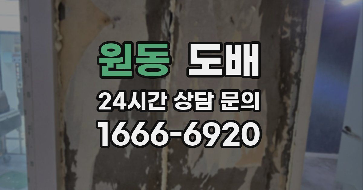 원동 도배