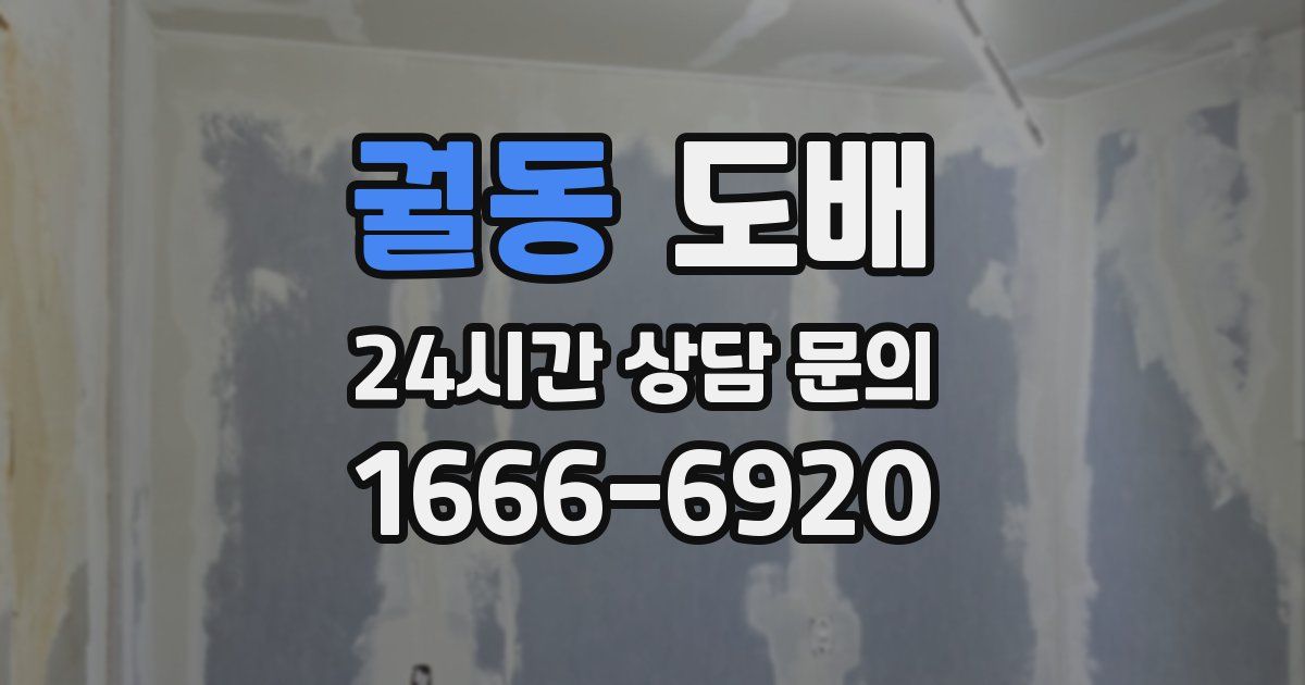 궐동 도배