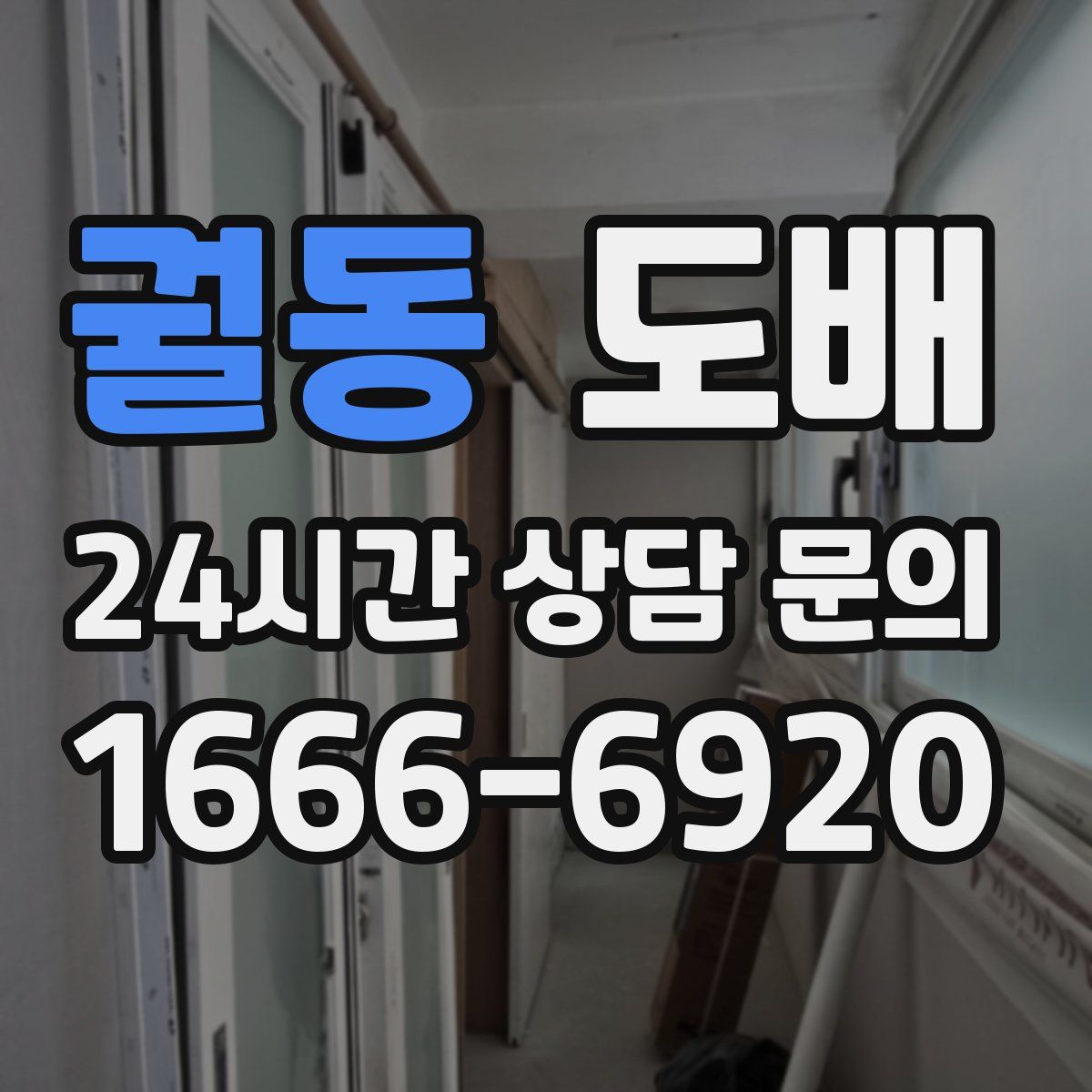 궐동 도배