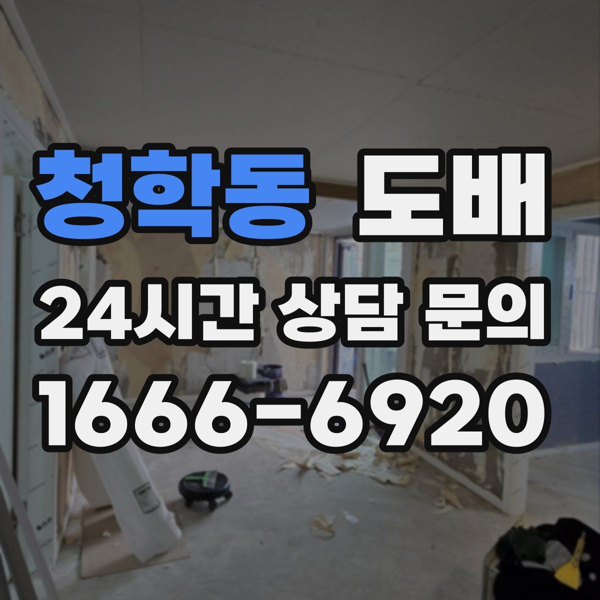 청학동 도배