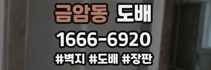 금암동 도배