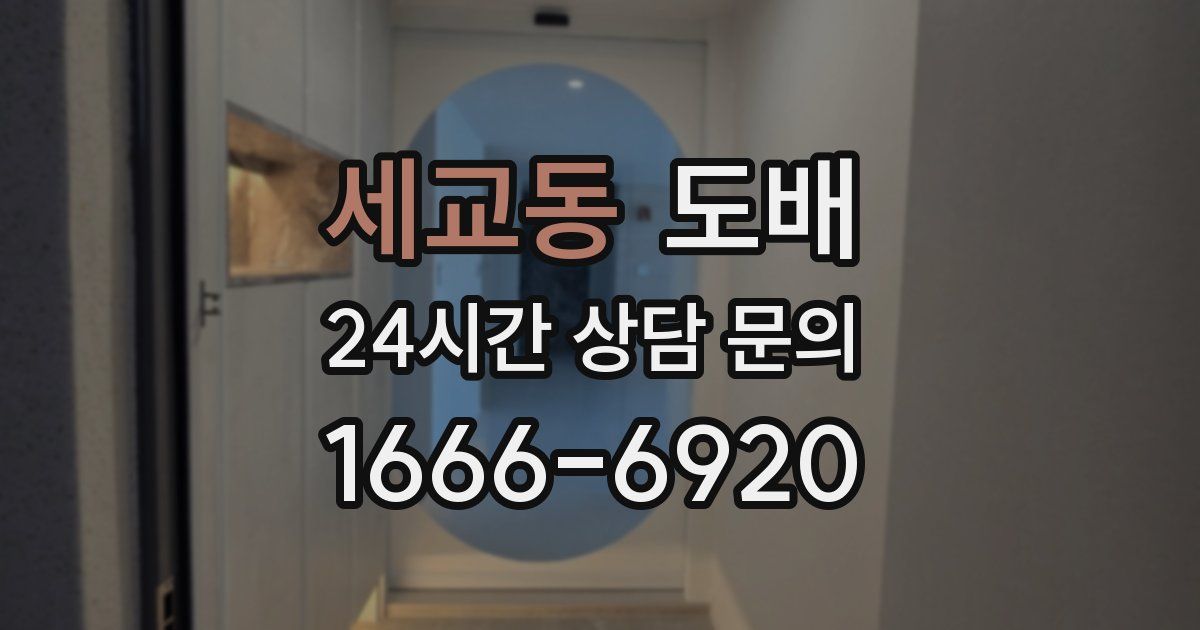 세교동 도배