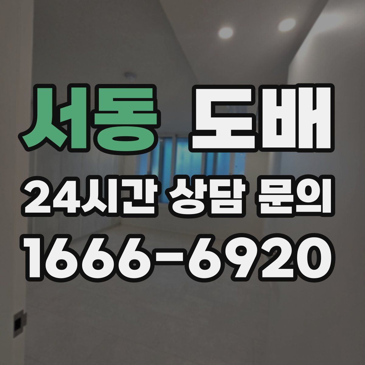 서동 도배