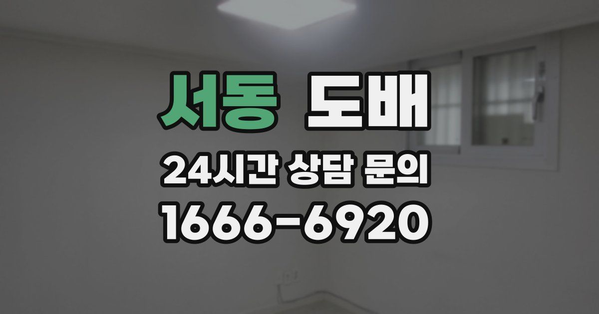 서동 도배