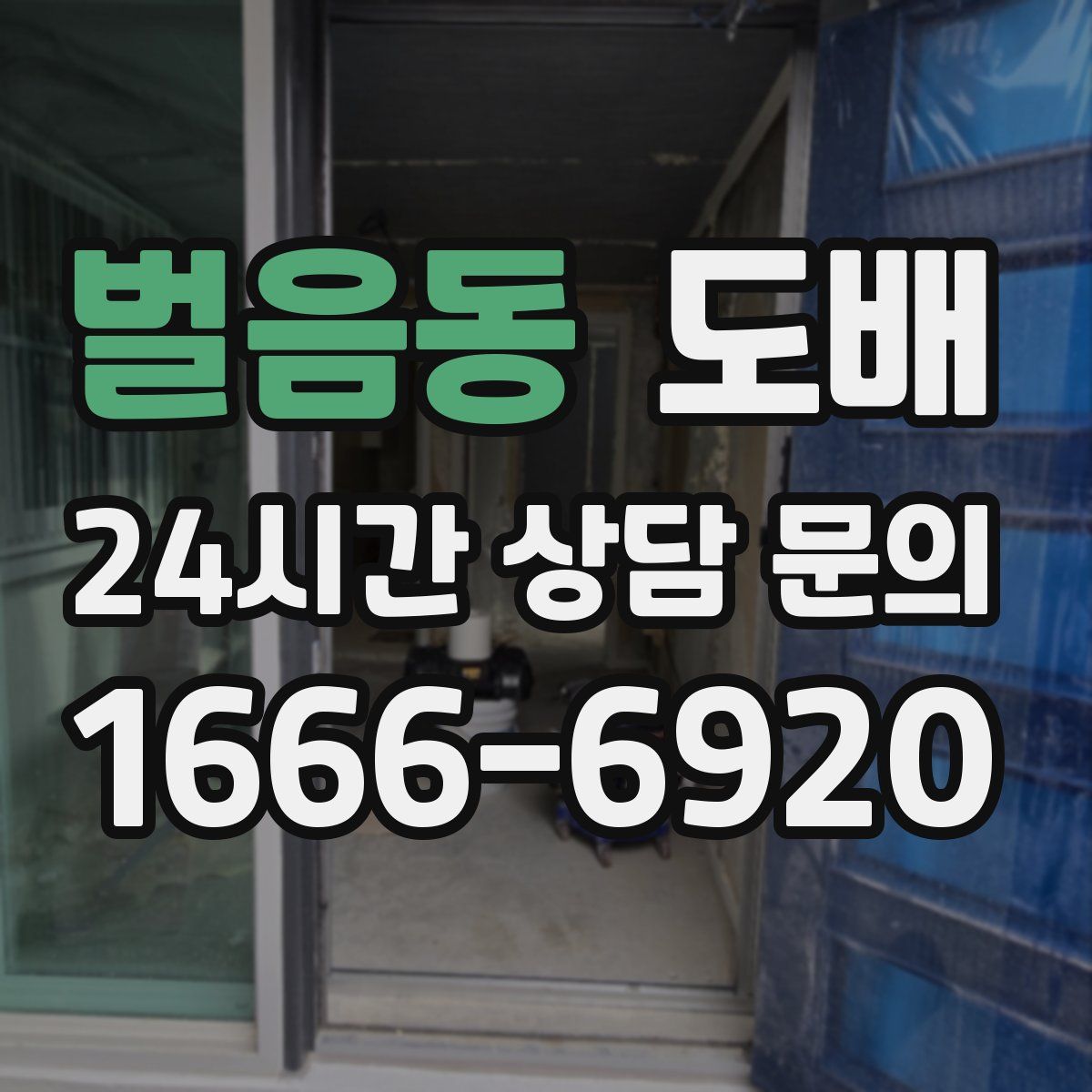 벌음동 도배