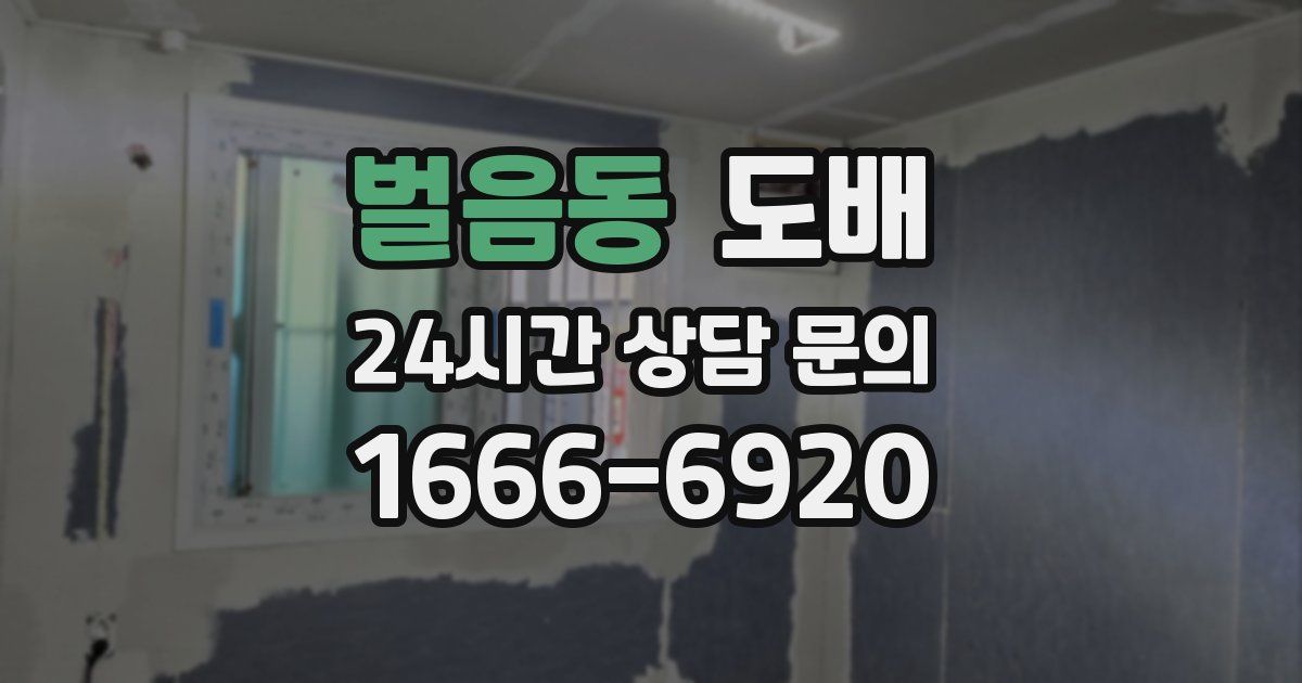 벌음동 도배