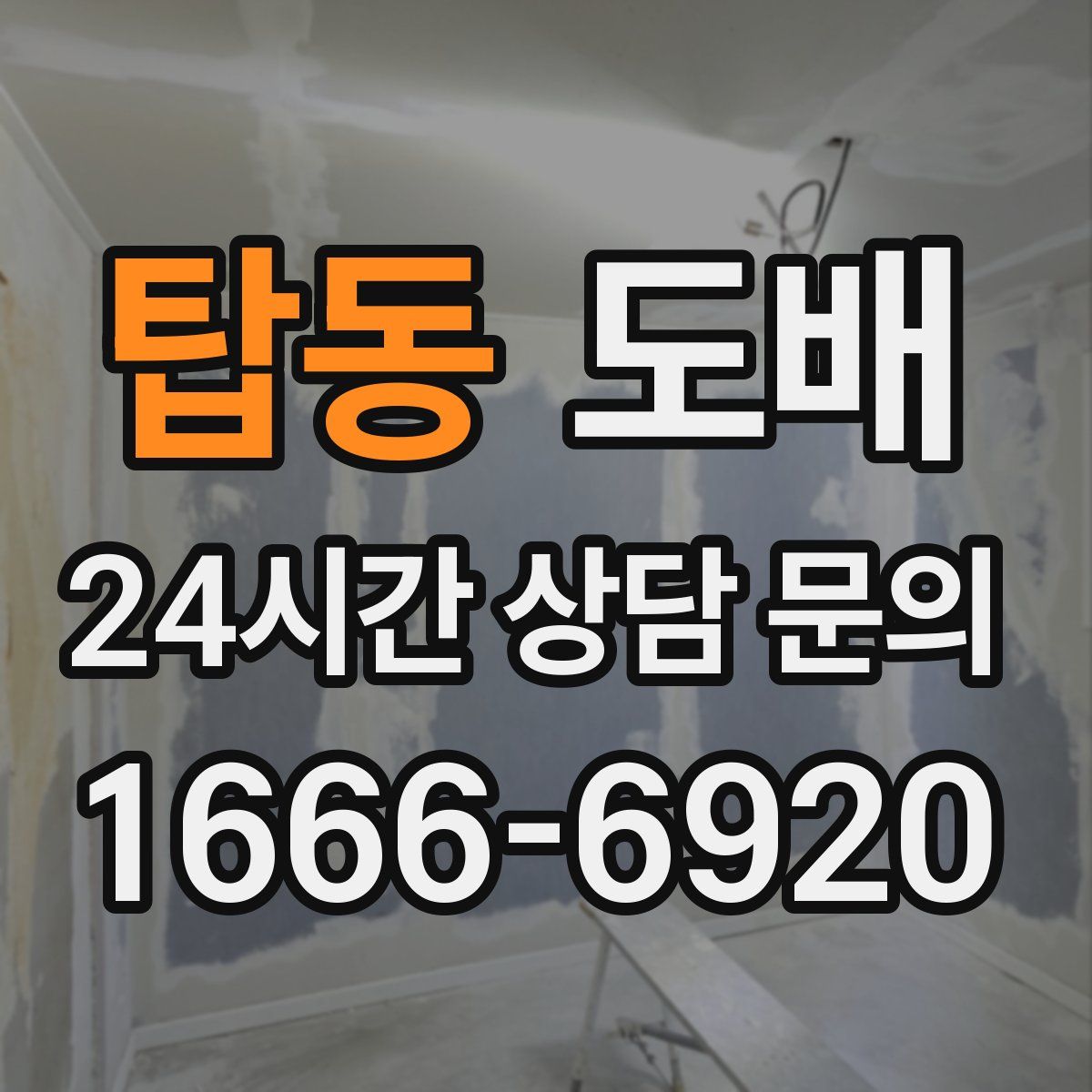 탑동 도배