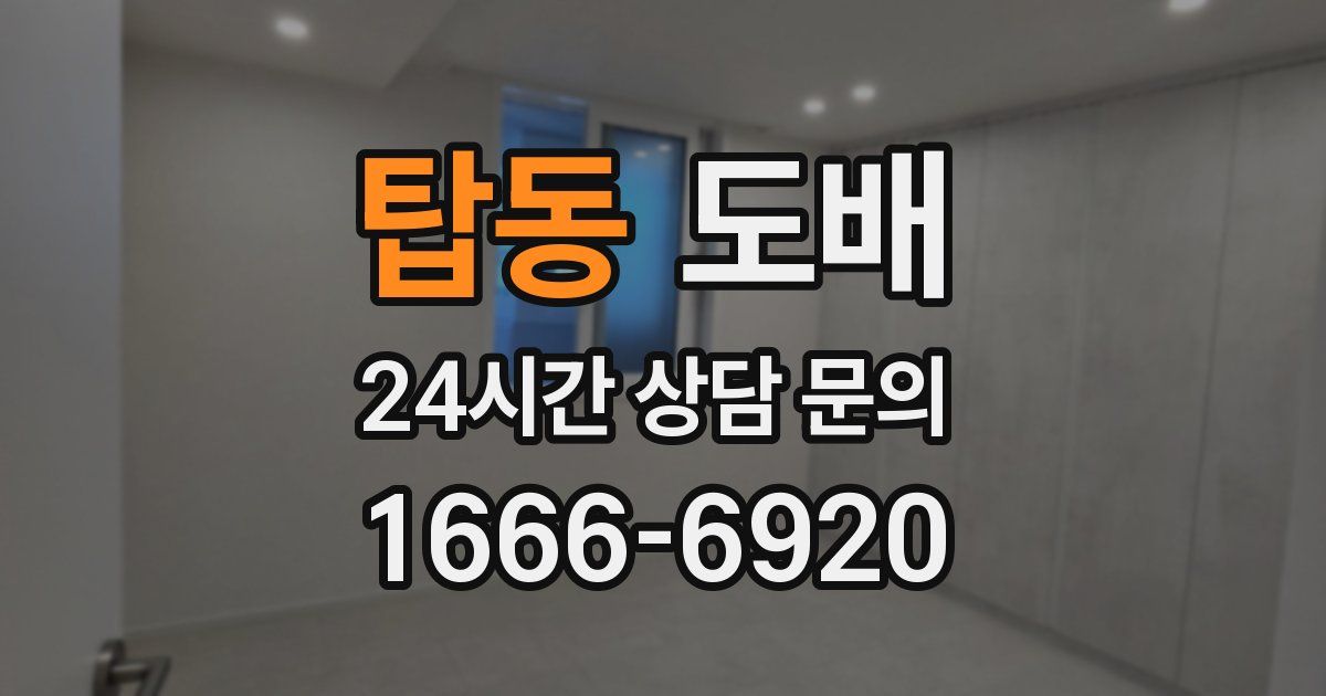 탑동 도배